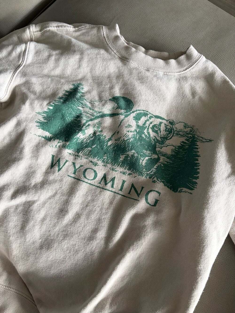 Cotton On Wyoming Bear Forest Graphic Crewneck Sweatshirt